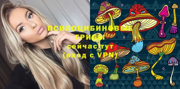соль ск Абаза