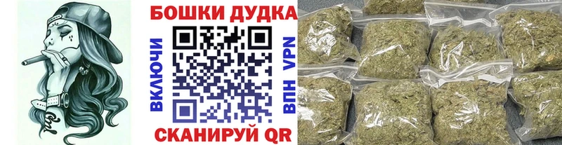 Шишки марихуана сатива  купить наркоту  Каменногорск 